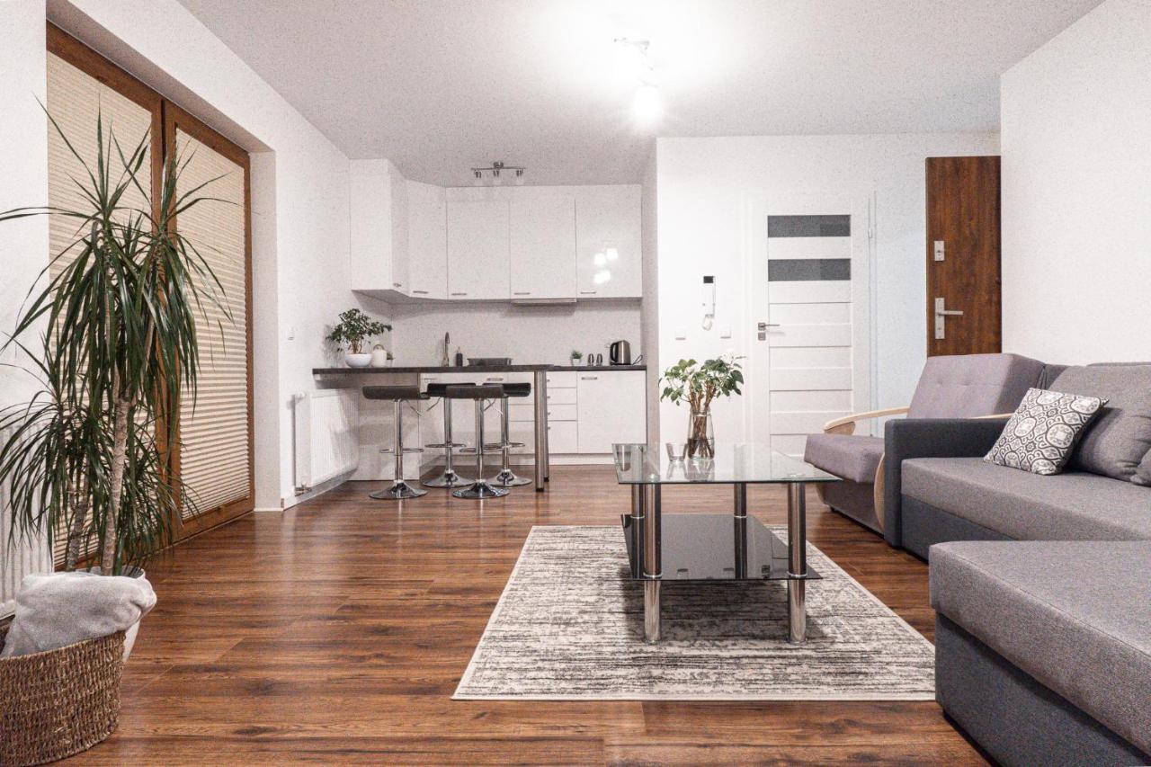 Tatra Apartments 자코파네 외부 사진